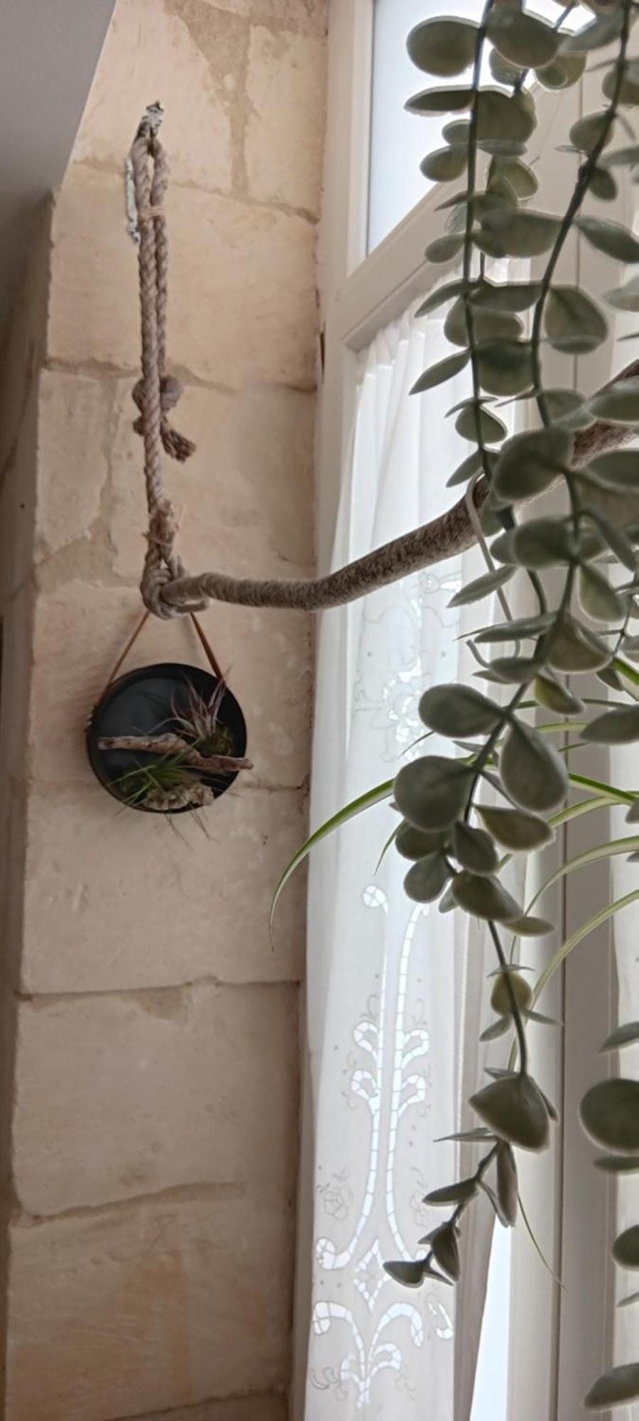 Bed & Breakfast Palazzo Emy Lecce